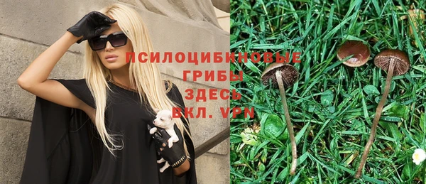 ешки Абинск