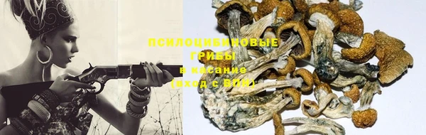mix Алексеевка