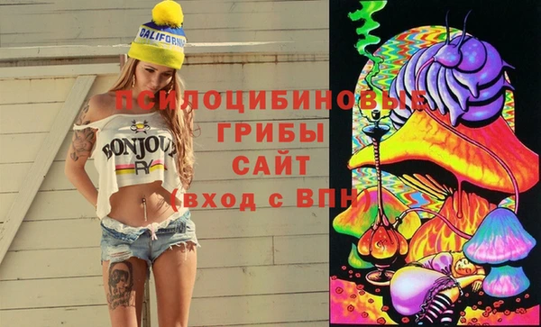 не бодяженный Алексин