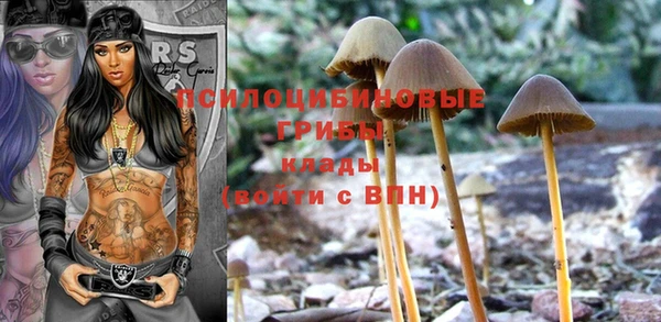не бодяженный Алексин