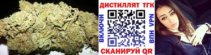 магазин продажи   Мирный  ТГК Wax 