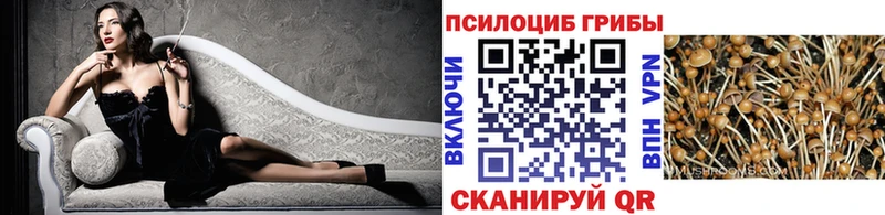 Псилоцибиновые грибы Psilocybine cubensis  Мирный 