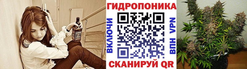 где купить наркотик  кракен ONION  Бошки Шишки план  Мирный 